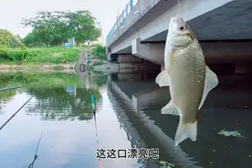 还在为野钓有流水浮漂站立不稳而烦恼吗？一招教你轻松解决