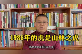 秦华讲解十二生肖：1986年出生的属虎人是山林之虎视频封面
