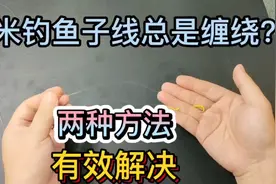 玉米钓鱼总是缠子线？分享两个方法，有效解决子线缠绕问题，收藏视频封面