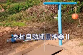 乡村自动捕鼠神器2视频封面