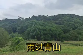 山上过云雨，青绿两相宜视频封面
