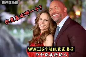 WWE超级巨星妻子，这么多美丽的巨星妻子，你更喜欢哪一个？