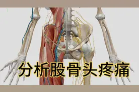 股骨头疼痛非常复杂，但原理简单！视频封面