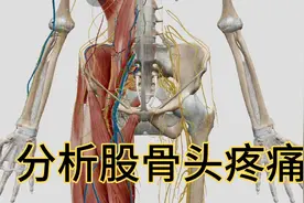 股骨头疼痛非常复杂，但原理简单！视频封面