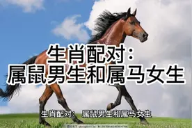 生肖配对：属鼠男生和属马女生视频封面