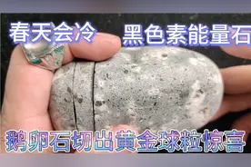 鹅卵石切出黄金球粒，大大的惊喜啊！