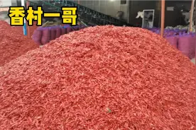 雨水偏多辣椒该怎么处理，两种方法减少辣椒损失，抢保农户收益