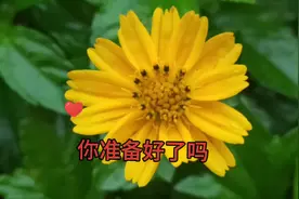 大家好：记得每一天都要开心就行！