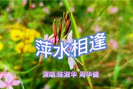 经典老歌《萍水相逢》——演唱:陈淑华 周华健视频封面