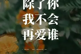 除了你我再不会爱谁视频封面