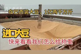 船到巴西拉大豆，一亿两千万斤，看我们如何称重
