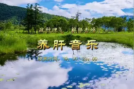 五音疗疾丨疏肝理气，解郁去烦；亚洲第一排箫王子杜聪演奏加长版视频封面