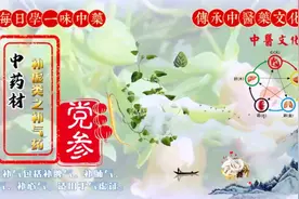 每日学一味中药；党参：健脾益肺、养血生津。补气药视频封面