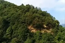 【乡土乡音】故乡的山水游子的相思《故乡情》视频封面