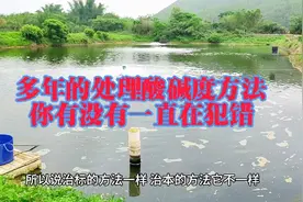 酸碱度偏低处理的方法对了吗？后面有彩蛋#鱼虾蟹养殖 #对虾养殖视频封面