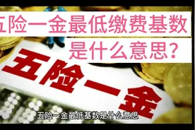 五险一金最低基数是什么意思？工资高，社保缴费少是违法行为！视频封面