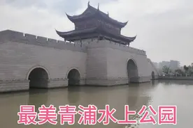 上海青浦区最美水上乐园，一路景色优美的环境