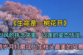 美文欣赏《生命是一树花开》将岁月打磨成人生枝头最美的风景！视频封面