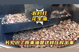 农村打花生油排成了长队，今天长见识，原来油是这样压榨出来视频封面