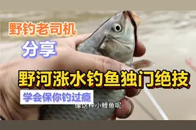涨水后该如何垂钓？野钓老司机用实战来教大家保证看后让你钓过瘾