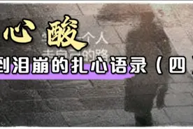 扎心现实语录：心酸到泪崩的扎心语录（四）#人生感悟#扎心现实#视频封面