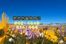 经典老歌《把悲伤留给自己》完整版MV，云南三怪演唱。视频封面