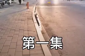 湖北人在广东之爱情故事视频封面