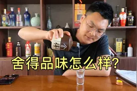 龙哥酒鬼品评沱牌舍得品味浓香酒，很有特点的中端浓香型白酒视频封面