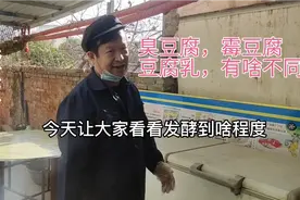 大东细说臭豆腐和霉豆腐和豆腐乳的不同视频封面