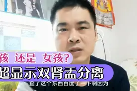 B超单子显示双肾盂分离是男孩吗，已开奖！我们答案在前几期视频视频封面