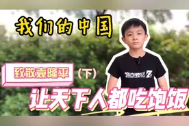 致敬袁隆平（下）让我们的杂交水稻走出国门，为全世界粮食做贡献视频封面