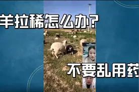 如何治疗羊拉稀，畜牧堂福利助农，免费咨询解答。视频封面