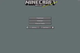 我的世界电脑版   到底该怎么进去？有知道的观众朋友们吗？