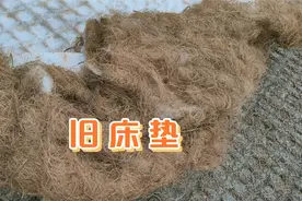 你想过旧床垫里面是什么样吗？看收荒拆床垫，实在是太脏了