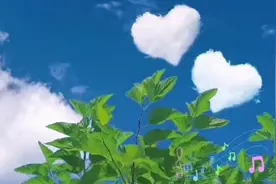 一首好听的赞美诗歌听着让你舒服视频封面
