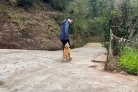 万物皆有灵性！狗狗知道主人返城，抱着大腿不让他离开…视频封面