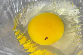 生鸡蛋里发现一个东西视频封面
