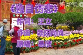 一首《独自伤悲》分享给大家，思念一个人的滋味，是撕心裂肺的痛