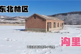 东北林区农村废弃的房子生活时候无水无电！探索深山老林！东北虎视频封面