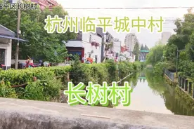 浙江杭州临平区仅存的城中村，长树村！没有了往日的热闹。视频封面