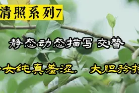 李清照的《点绛唇》一静一动写少女矜持大胆，纯真羞涩的萌动视频封面
