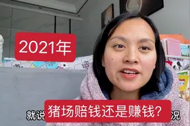 2021年猪价跌入低谷，小焦家养猪是赚钱还是赔钱？明年是最大考验视频封面