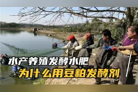 为什么发酵水肥用强微豆粕发酵剂而不用强微其它产品EM菌能发酵！视频封面