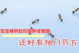 宝宝被蚂蚁咬伤脚起水泡红肿，疼痒得嗷嗷嗷叫，还好有独门药方。视频封面