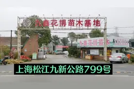 上海松江花卉苗圃批发市场。上海松江九新公路799号。视频封面