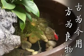 满屋全是收藏古玩的房间是什么样子的！