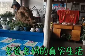 东北农村大山沟:老房子打扫卫生！这场面你见过吗？一年一次啊视频封面