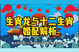 属龙的人与十二生肖婚配解析#生肖婚配 #生肖龙视频封面