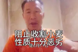 滨州市某村的某人阻止收割小麦，性质十分恶劣！视频封面