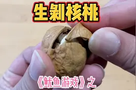 挑战徒手剥核桃，据说成功率只有1%！你们猜我挑战成功了吗？视频封面